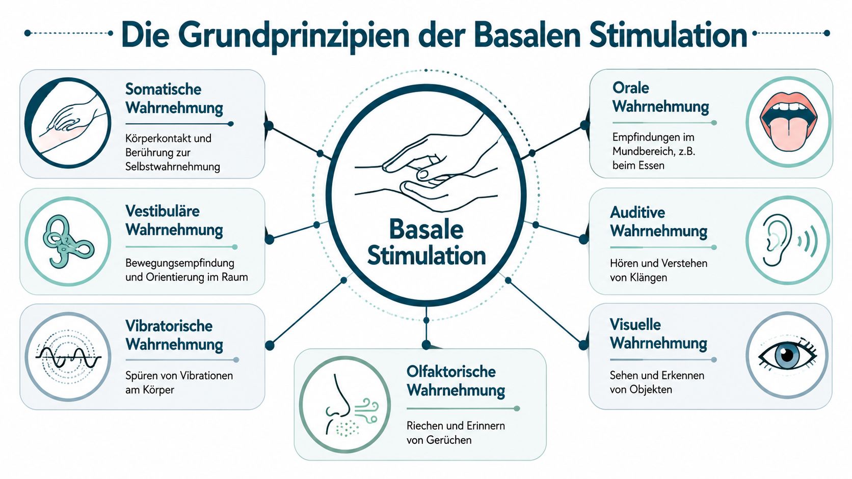 Eine Übersichtsgrafik über die sieben Bereiche der Basalen Stimulation zur Förderung der Wahrnehmung und Kommunikation.