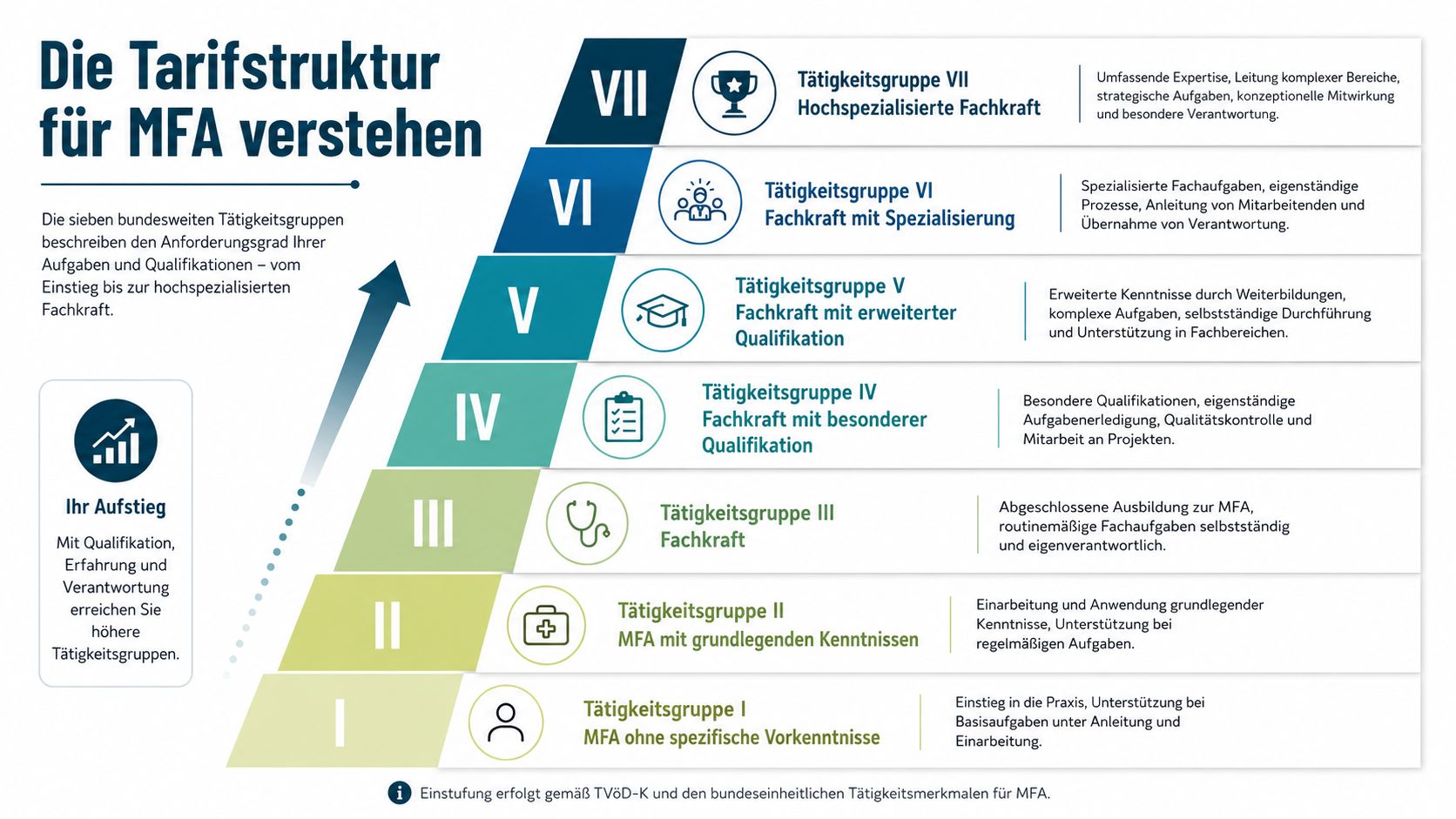 Eine Infografik zeigt die sieben Tätigkeitsgruppen der MFA-Tarifstruktur, von Einsteigern bis hin zu hochspezialisierten Fachkräften.