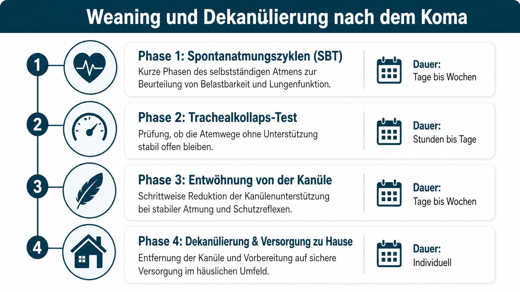 Eine Infografik erklärt die vier Phasen der Entwöhnung vom Beatmungsgerät und die Dekanülierung nach einem künstlichen Koma.
