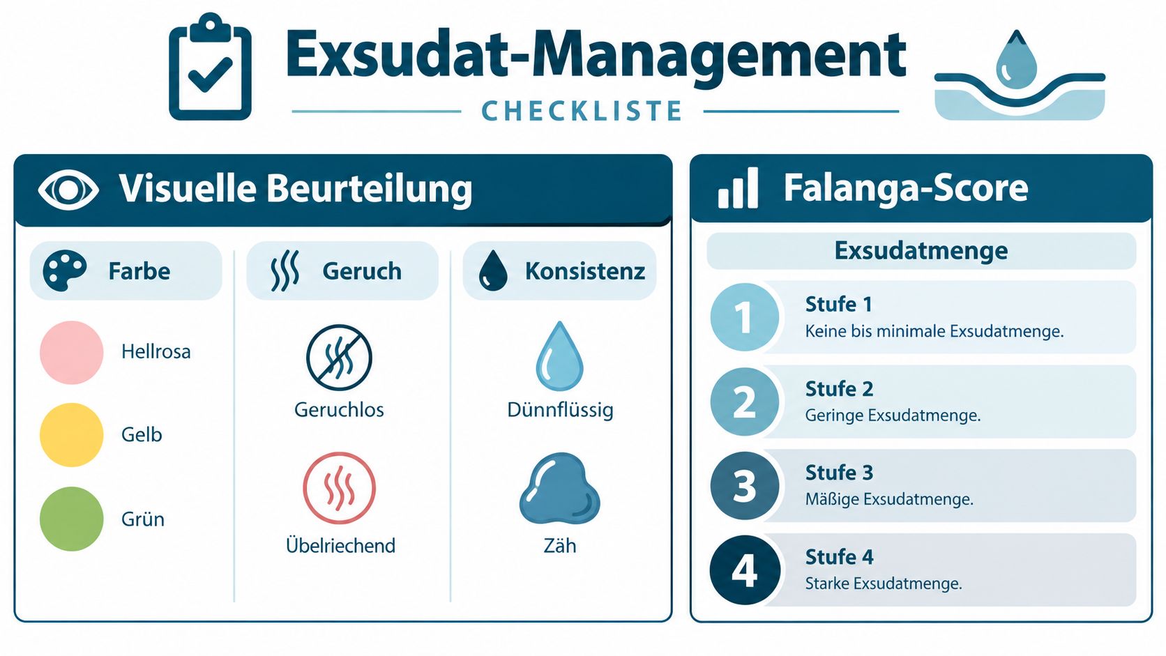 Eine informative Checkliste für das Exsudat-Management bei Wunden mit Kategorien für Farbe, Geruch, Konsistenz und den Falanga-Score.