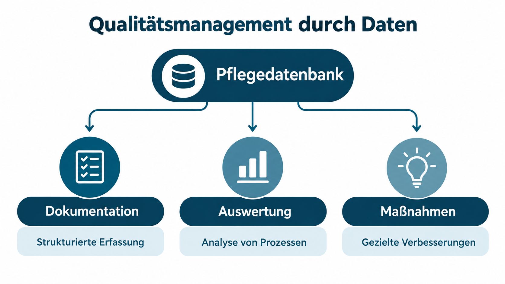 Grafische Darstellung des Qualitätsmanagements durch Pflegedatenbanken mit den Phasen Dokumentation, Auswertung und gezielten Maßnahmen zur Qualitätsverbesserung.