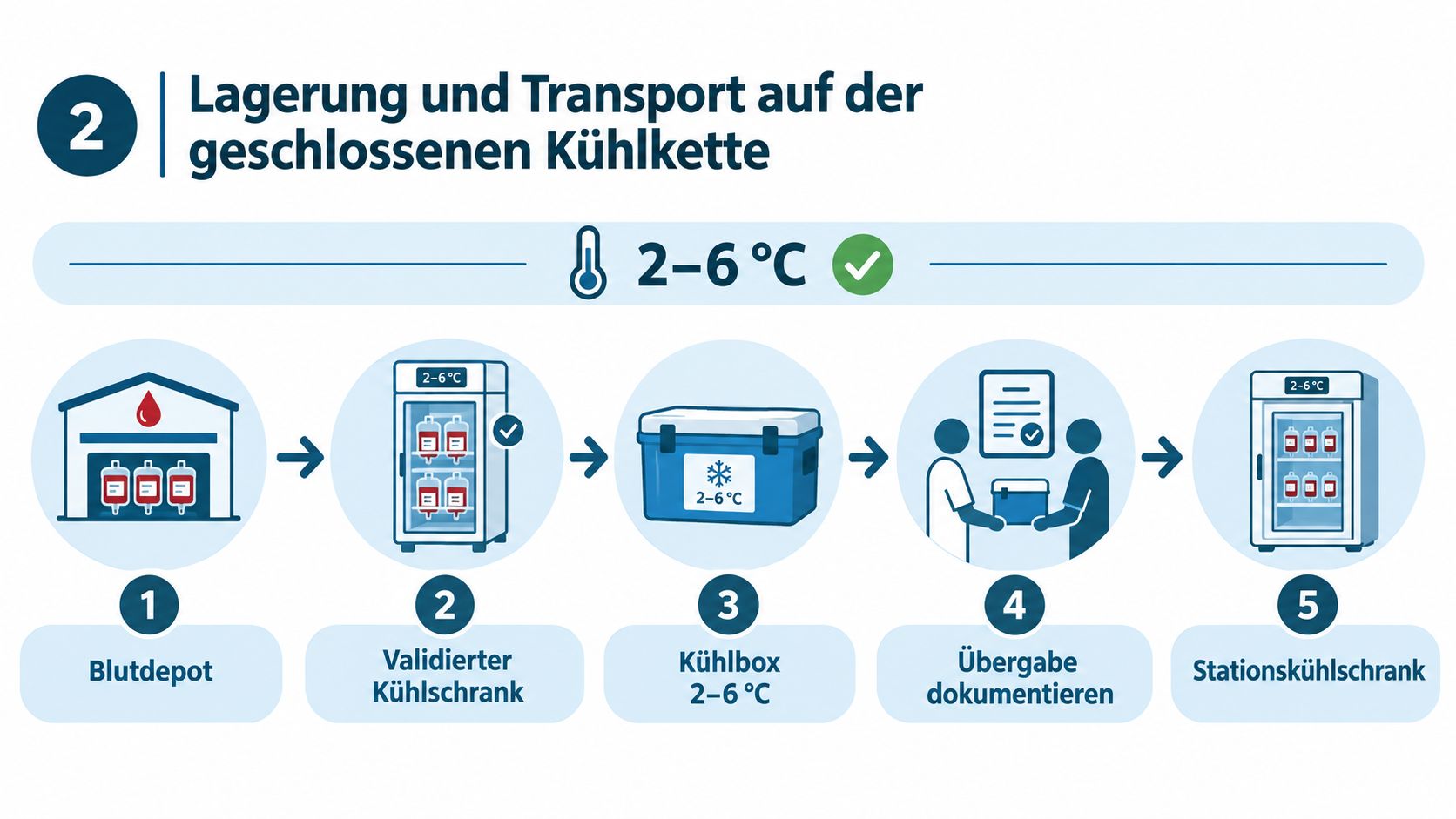 Eine Infografik zur Lagerung und zum Transport von Blutbeuteln in einer geschlossenen Kühlkette zwischen 2 und 6 Grad.